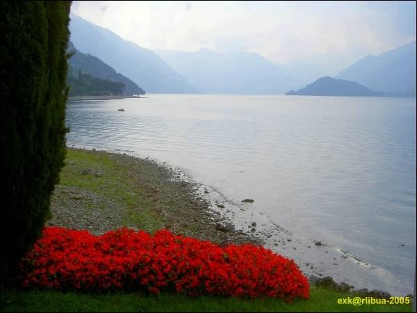 0101-como-see.jpg
