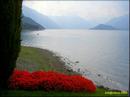 0101-como-see.jpg