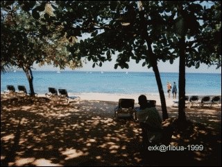 04-beach.jpg