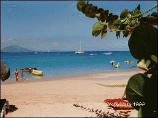 05-beach.jpg