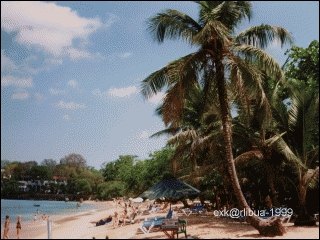 06-beach.jpg