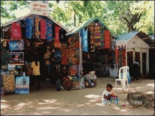 10-market.jpg