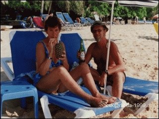 11-pinacolada.jpg