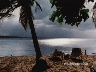 13-beach.jpg