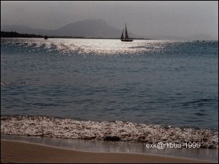 15-beach.jpg