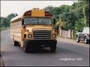09-bus.jpg