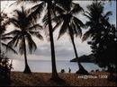 14-beach.jpg