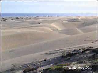 dunes_maspallomas.jpg