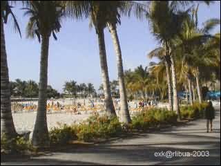 the_beach.jpg