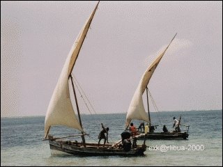 16-dau.jpg