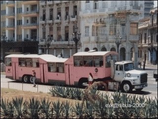 13-camello.jpg