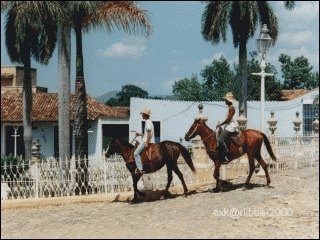 15-cavallo.jpg
