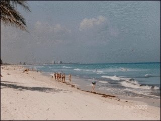 16-beach.jpg