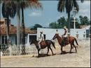 15-cavallo.jpg