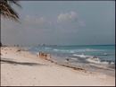 16-beach.jpg