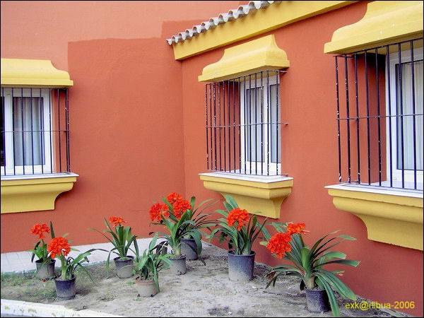 002_algeciras_04_prot.jpg