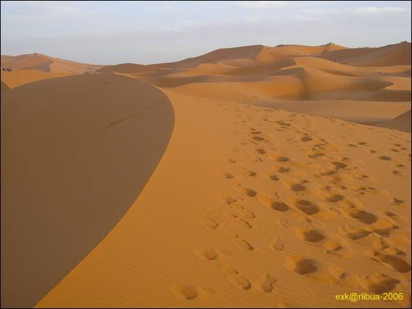 009_erfoud_021_prot.jpg