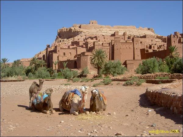 014_khasba_taurad_4_prot.jpg