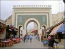 007_fes_011_prot.jpg