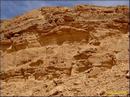 008_mittl_atlas_017_prot.jpg