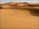 009_erfoud_015_prot.jpg