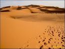 009_erfoud_016_prot.jpg