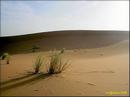 009_erfoud_017_prot.jpg