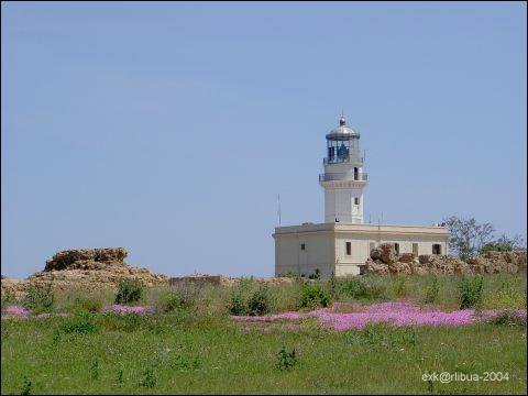0283--cap_colonna.jpg