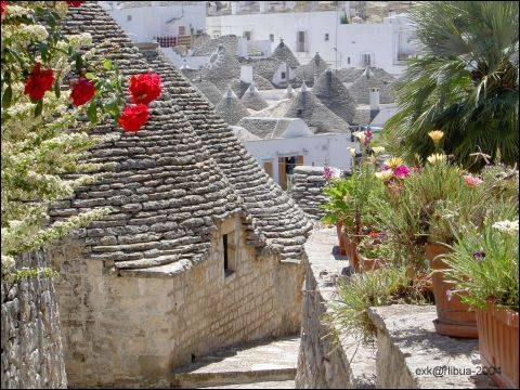 0383--trulli__in_alberobello.jpg