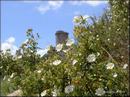 0213-velia.jpg