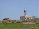 0283--cap_colonna.jpg