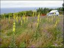 0341--neben_der_strasse.jpg