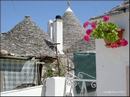 0387--trulli__in_alberobello.jpg