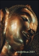 th-001.jpg