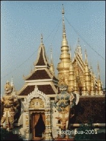 th-002.jpg