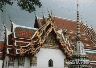 th-005.jpg
