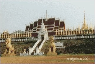 th-015.jpg